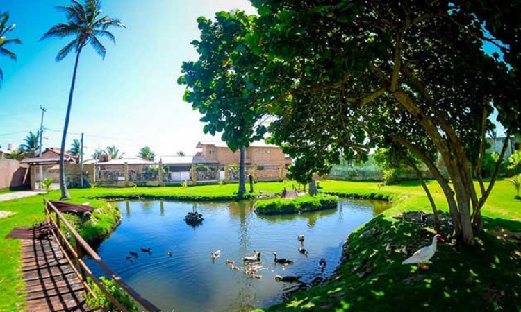 Taxi Transfer Taíba Ceará (São Gonçalo do Amarante)